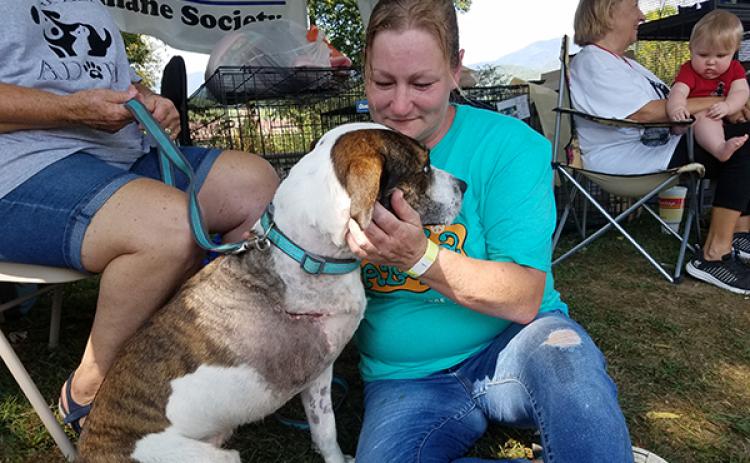 At Paws-A-Palooza, Valley River Humane Society animal shelter manager Kirsty Waller cuddles with Brock, one of the dogs saved by medical treatments provided by Andrews Veterinary Hospital.