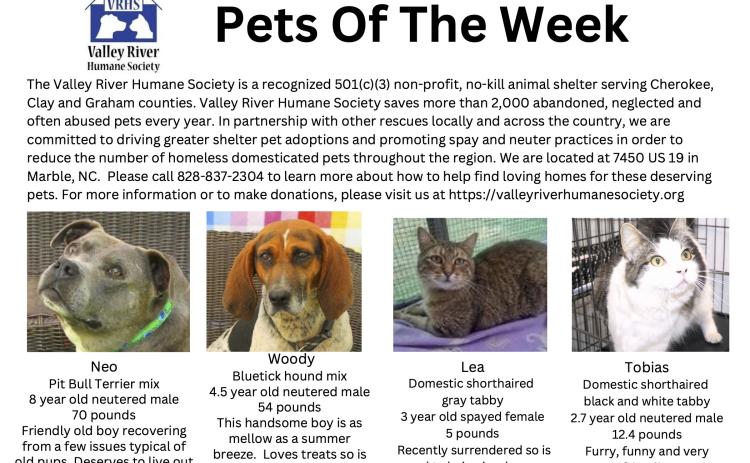 Valley River Humane Society Pets of the Week