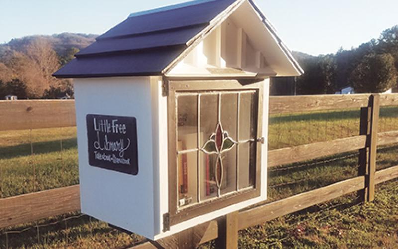 The newest Little Free Library in Cherokee County is on Marrestop Road, near the intersection with Johnsonville Road in Hothouse.