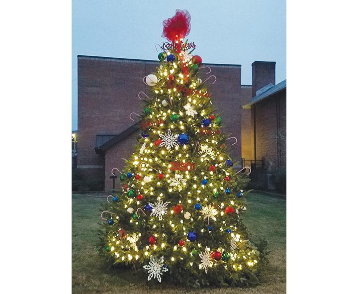 The Town of Andrews’ Christmas tree was lit Nov. 19 during Christmas on Main Street. 