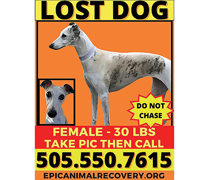 Drucie Turner’s “lost dog” flier.
