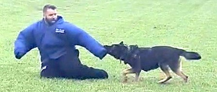 The Cherokee County Sheriff's Office K-9 demonstrations are a favorite at National Night Out. Photo by Anngee Quinones-Belian/Staff Correspondent  