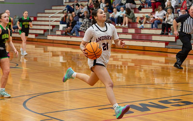 Cannon Crompton/sports@cherokeescout.com Chanteah Rattler of Andrews drives toward the basket against Blue Ridge Early College on Feb. 11.