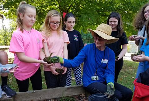 Ranger sixth-grade student Gracie Rhodes accepts a fern to plant from Master Gardener Lynne Corenbaum. Corenbaum is teaching local students and staff how to maintain raised garden beds at the schools.