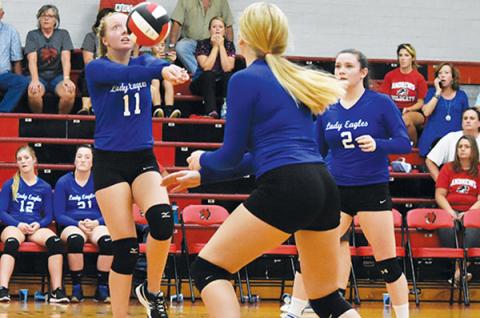 Hiwassee Dam’s Kayley Sells sets the ball during the Lady Eagles’ five-set win over Andrews on Thursday.