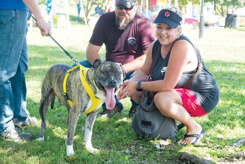 David Martin and Erica Curtis found Chance at last year’s Paws-a-Palooza in Hall Park and adopted him that day. Photos by Ben Katz