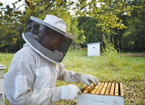Don Reynolds keeps honeybees partly because of their vital role in our ecosystem.