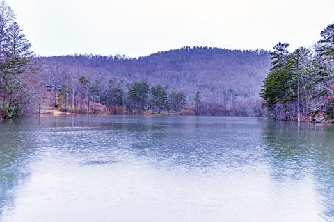 The N.C. Division of Energy, Mineral & Land Resources wants the county to help drain Tanglewood Lake, much to the dismay of many local residents. Photo by Sam Jokich