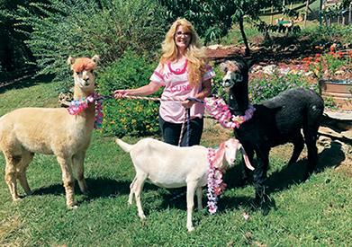 Melissa and Matt Reschke are donating 20 percent of October admission fees at Shaka Alpaca Farm in Murphy to local breast cancer support organizations. Melissa is a survivor of the disease.
