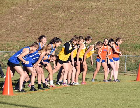 Three of Cherokee County’s girls cross country teams line up ahead of the start of the Bulldog XC Meet 1 on Nov. 18.