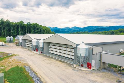 Dutt & Wagner egg farm outside Andrews produces about 500,000 eggs daily, making it one of the largest in the Southeast.