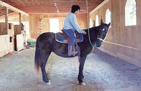 Te’Lor Allen of Texana started taking care of horses when she was about 12 years old. She has rehabilitated several of the beautiful animals since then.