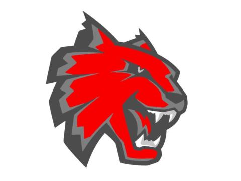 Wildcats