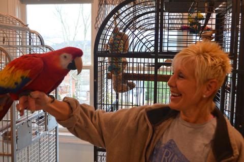 Abigail Hickman/Staff Correspondent Kimberly Utt holds her macaw parrot Noah at her home in Hiawassee, Ga.