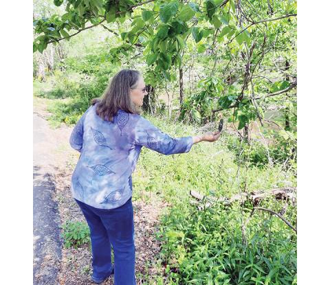 Photos by Bill Belian/Contributing Photographer: Carol Merenda hangs a clay pottery bird ornament for someone to pick up on the Murphy River Walk. 