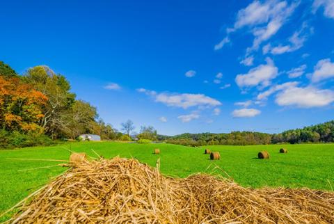 Sam Jokich/Staff Correspondent The fields were green and shouting “hay” recently in Hiwassee Dam off N.C. 294, which is always a picturesque drive between North Carolina and Tennessee.