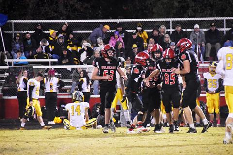 Andrews celebrates after Cole Anderson’s (85) interception with 3:19 left in the fourth quarter all but sealed the Wildcats’ 22-12 win over Murphy last year.