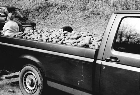 In May 1998, about 48,000 pounds of potatoes got dropped off at the wrong place in Andrews. Thankfully, each potato was able to find a new home with a local family.