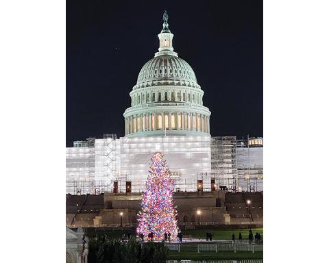 Trevis Hicks/Contributing Photographer: Some Cherokee County residents were in Washington on Nov. 29 for the lighting of the U.S. Capitol Christmas Tree – Ruby the red spruce from the Pisgah National Forest, which came through Murphy on Nov. 6. Each North Carolina county had an ornament hanging on the tree; Clay and Graham were spotted, but Cherokee was carefully hiding.