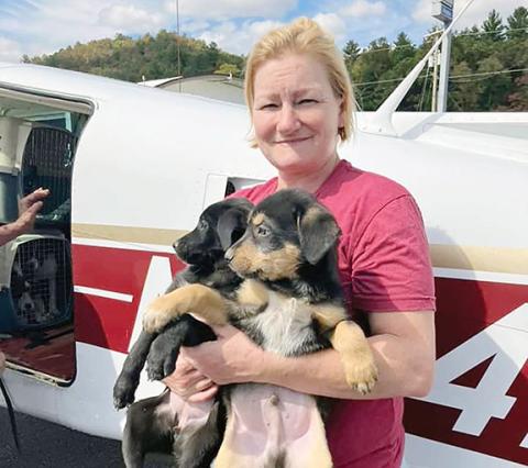 Kirsty Waller helps load 30 puppies onto Alec Thayer’s aircraft at Western Carolina Regional Airport to fly them to a rescue agency in the Northeast. Her compassion and love for animals was obvious to those who knew her.