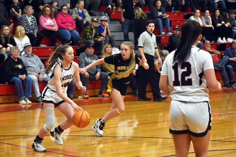 Justin Fitzgerald/sports@cherokeescout.com Andrews’ Kylie Donaldson tries to get by Murphy’s Julia Dockery during the Lady Wildcats’ 82-57 loss to the Lady Bulldogs on Friday.