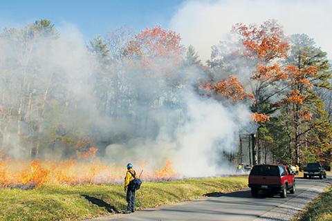 Crews began prescribed burns across the beautiful Cades Cove on Feb. 20 and plan to wrap up Friday.