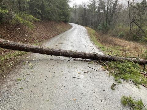 David Brown/dbrown@cherokeescout.com This fallen tree cut off the only access road into the Boulder Creek neighborhood off of Hedden Road in Bellview late Friday afternoon – at least until neighbors and workers with chainsaws arrived.