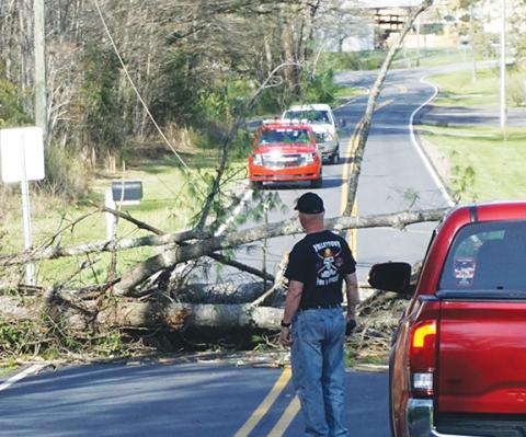 Photos by Randy Foster/editor@cherokeescout.com Firefighters from Valleytown Fire & Rescue stand by while waiting for Duke Energy linemen to shut off power to a power line taken down by a falling tree across Pisgah Road near Andrews on Saturday afternoon.