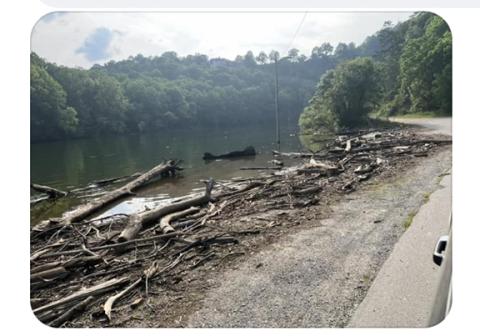 This is what the riverbank at the Payne Street Boat Ramp looked like before it was cleaned up last week.