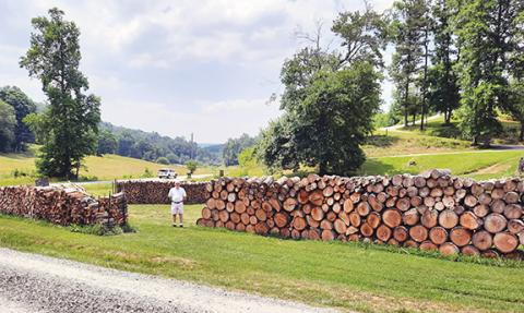 Photos by Anngee Quinones-Belian/Staff Correspondent  The amount of wood Johnny Martin has cut and stacked himself would rival a lumberjack half his age.