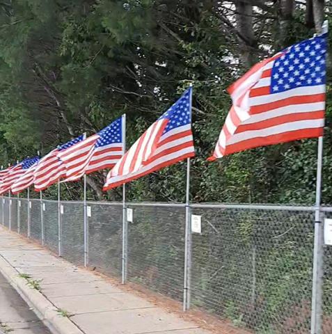 Anngee Quinones-Belian/Staff Correspondent These U.S. flags have been flying along Bulldog Drive near Murphy High School from Memorial Day weekend through the Independence Day holiday.