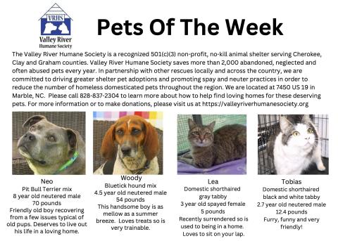 Valley River Humane Society Pets of the Week