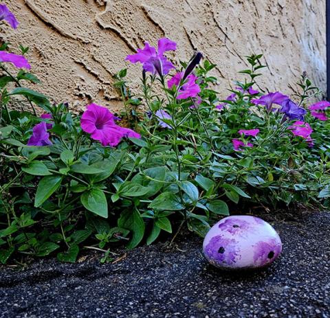 A purple rock reminds local residents and visitors that October is Domestic Violence Awareness Month. 