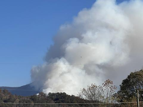 Collett Ridge fire 