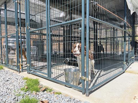 Randy Foster/editor@cherokeescout.com This outdoor kennel will need to be replaced, according to an estimated $262,821 in state-required improvements at the Valley River Humane Society in Marble.