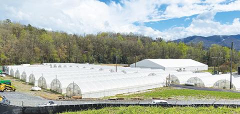 Randy Foster/editor@cherokeescout.com This is the Eastern Band of Cherokee Indians’ sprawling cannabis production facility off of Coopers Creek Road in Ela, an area in Swain County.