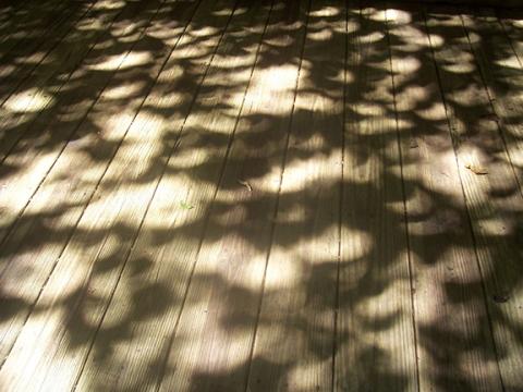 Nicole Wright/Staff Correspondent The solar eclipse on April 8 had people around the world talking – even in Cherokee County.