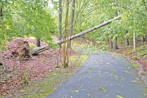 Sam Jokich/Staff Correspondent The thunderstorm that rolled into Cherokee County late on the night of May 7 left behind lots of damages in Peachtree and beyond, including on Shadow Lane in Tar Heel. Cherokee County Emergency Management said the area “experienced significant storm damage overnight.”
