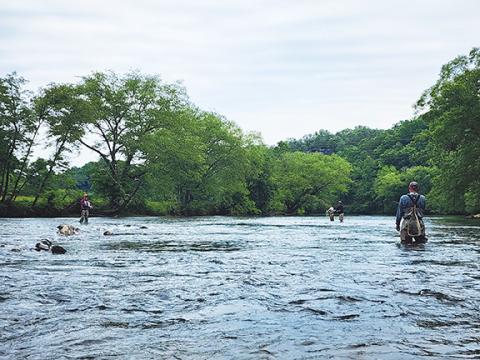 Cannon Crompton/sports@cherokeescout.com Fly fishers enjoy a day on the Toccoa River at Horseshoe Bend Park in Mineral Bluff, Ga., during the Tennessee Valley Authority’s annual media event Thursday. 