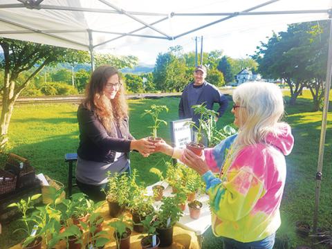 Photos by Nicole Wright/Staff Correspondent Lori and Tim Seaborg of forest farm Smoky Blue Appalachia offer the best variety of tomato to a customer at Saturday’s opening of the new weekly Farmers Market at Hall Memorial Park in downtown Andrews.