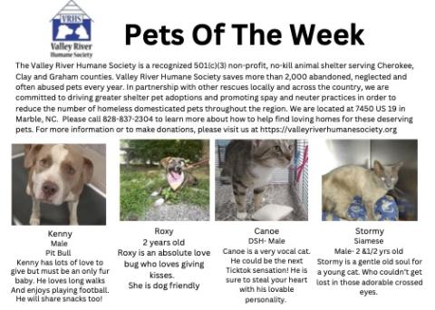 Valley River Humane Society Pets of the Week for July 17, 2024