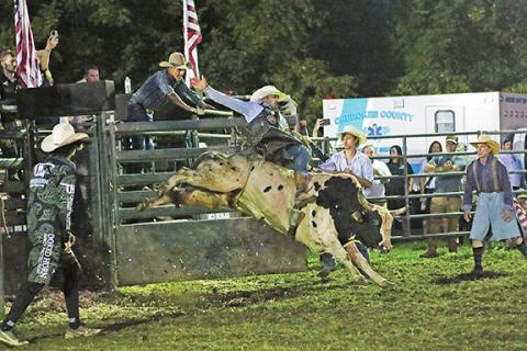 Cannon Crompton/sports@cherokeescout.com Austin Beaty, the No. 1 ranked bull rider in the IPRA, competes as bull-riding legend Ricky Ringer looks on from above the chute.