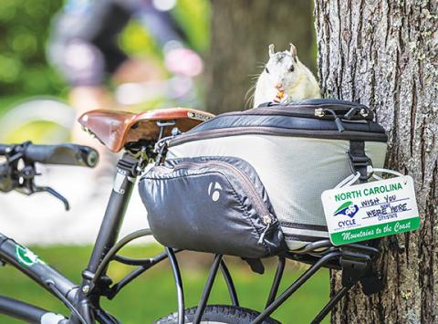 Cycle NC A squirrel enjoys a snack at Cycle NC Mountain Ride in 2019. 