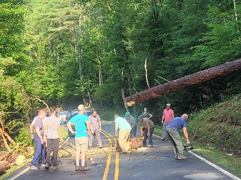 DJ Brown/Contributing Photographer Local volunteers return to their vehicles after using chainsaws to clear a fallen tree from Joe Brown Highway on Sunday, allowing traffic to pass.