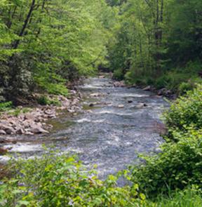 The Nantahala National Forest, with the river running through it, is one of the most beautiful places on Earth.