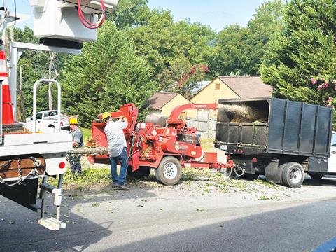 David Brown/dbrown@cherokeescout.com Tree-trimming time: Murphy Electric Power Board did a superb and thorough job Thursday removing trees and other growth that threatened power lines and traffic at the end of Sycamore Street downtown, across the street from the Cherokee Scout office.