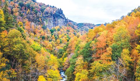 The Nantahala National Forest can be incredibly colorful during this time of the year.