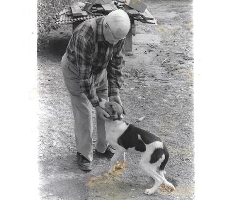 Wayne Battle of Andrews petting one of his prize Walker foxhounds.