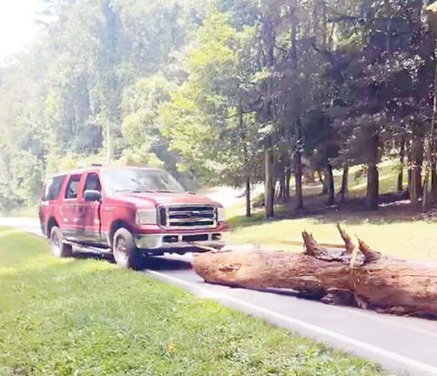 Zack Williams removes a tree on Fairview Road in Andrews after a storm. He calls himself a storm chaser and does today what he feared as a child.