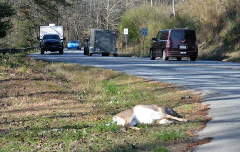 Glenn Harbison/The News Observer The route from Marble City to Mineral Bluff includes this stretch on Georgia 60 that more than 11,000 vehicles travel on daily, according to the Georgia Department of Transportation.